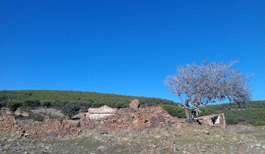 Aldea de Magaña