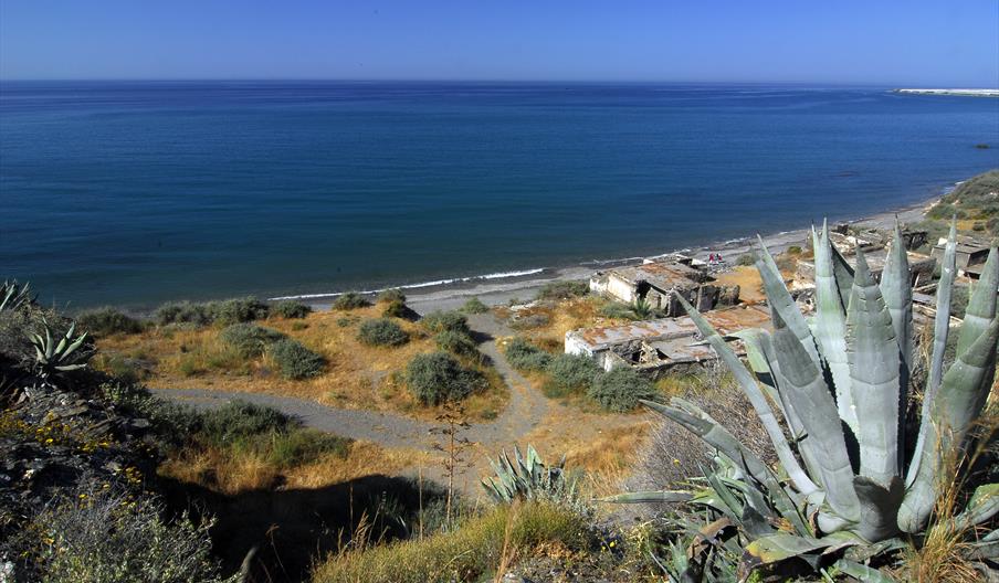 La Juana