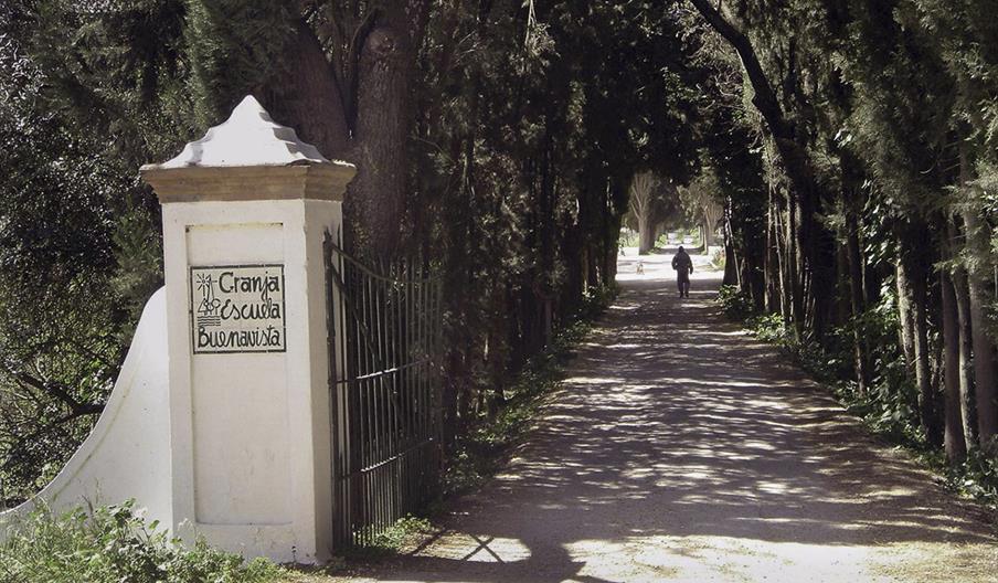 Albergue Granja Escuela  Buenavista