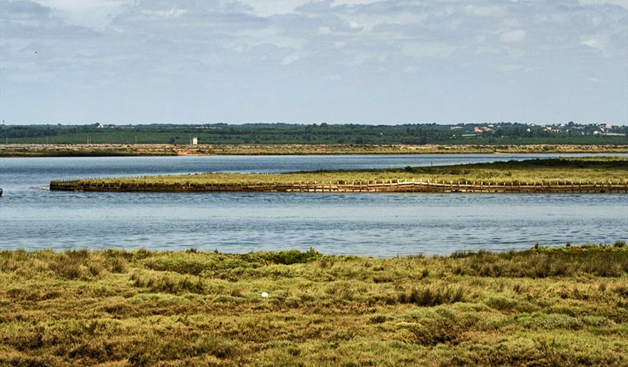 Isla de Enmedio