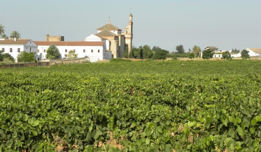 Bodegas Loreto