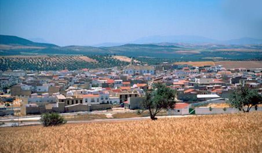 Pedrera