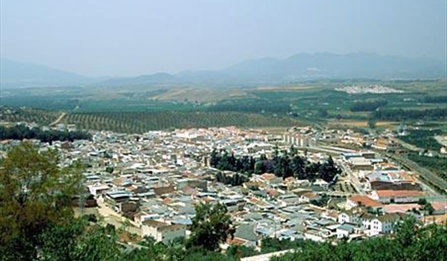 Pizarra
