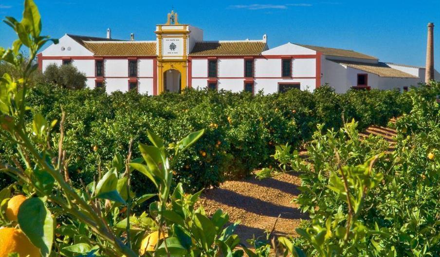 Hacienda Santa Ana
