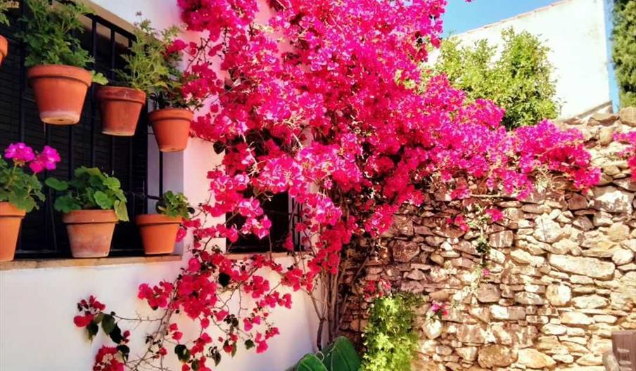 Casa Adriano