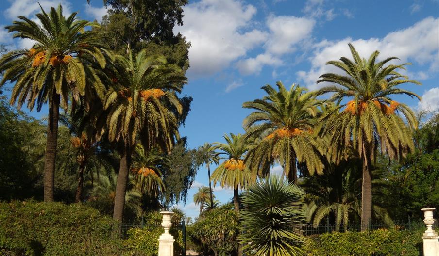Jardines de Murillo