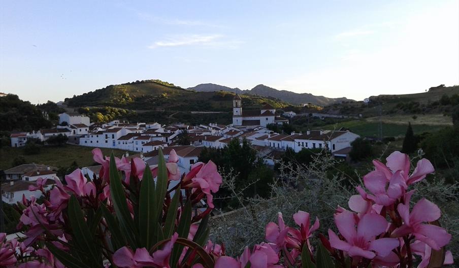 Atajate