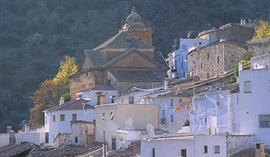 Laroya