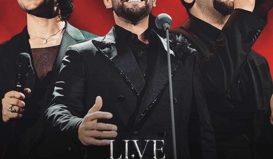 Marenostrum Fuengirola - Il Volo