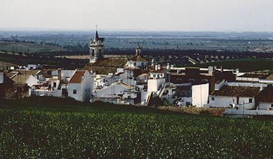 Bonares