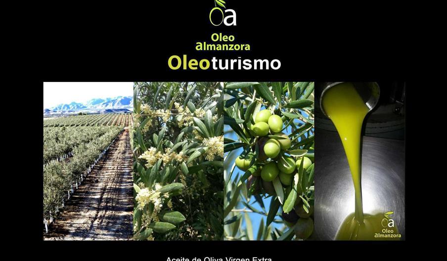 Oleoalmanzora