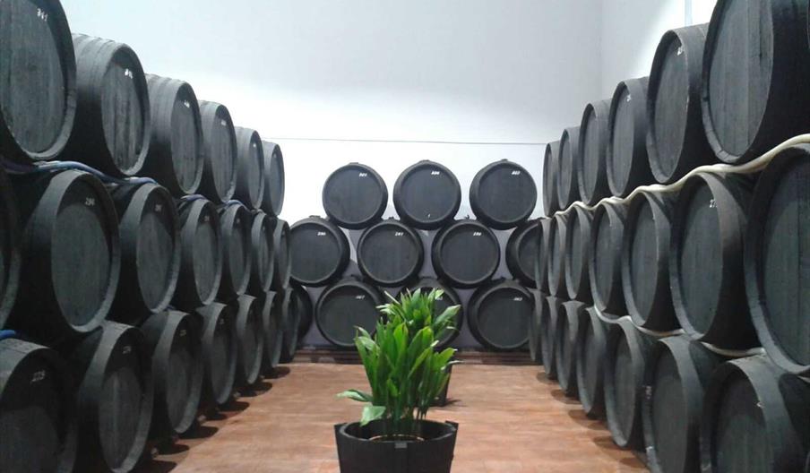 BODEGAS BLANCO S.L.