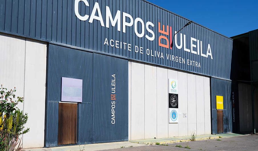 Campos de Uleila