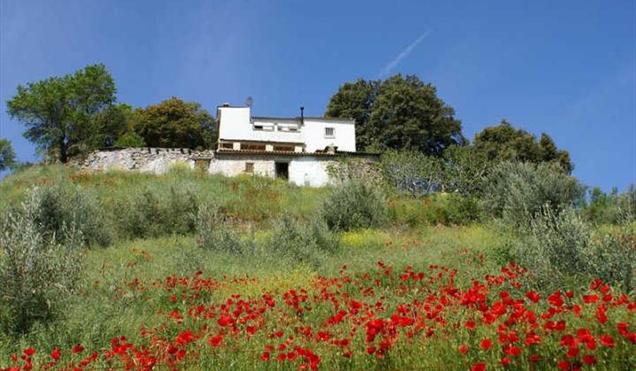 Cortijo de la Plata
