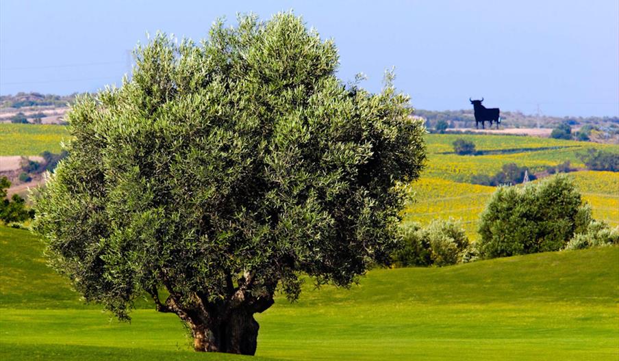 Sherry Golf Jerez