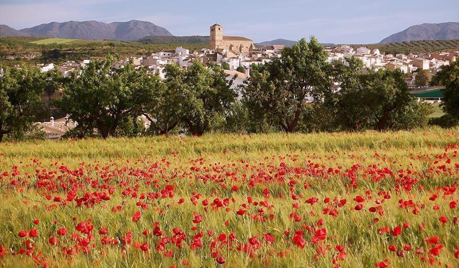 Alhama de Granada