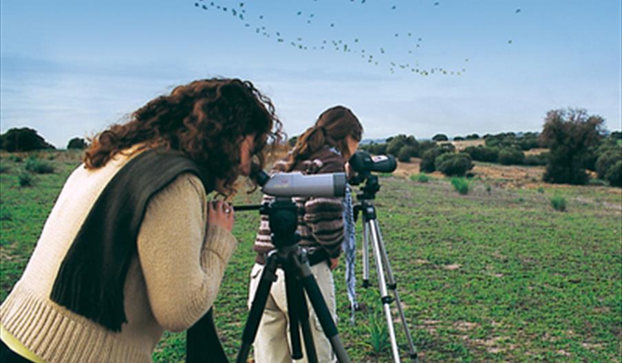 Bird-watching Tourism