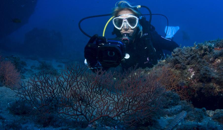 Buceo Aguadulce