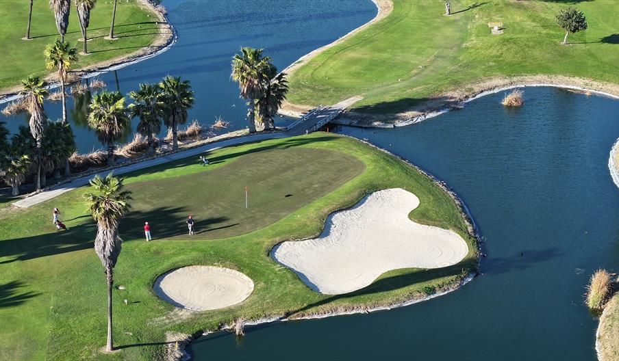 Costa Ballena Ocean Golf Club - Palmeras + Ficus