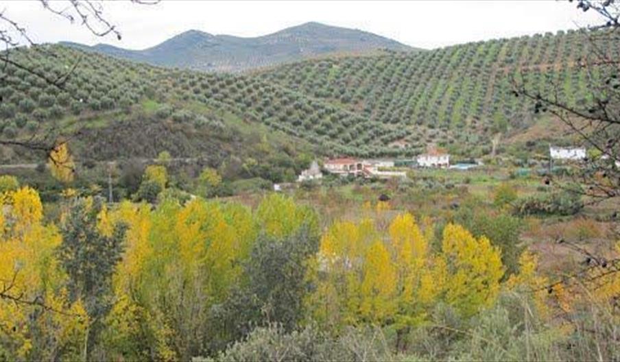 El Cerrajón