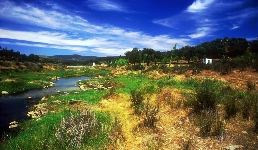 Sierra Norte