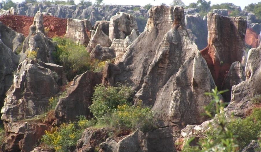 Cerro del Hierro