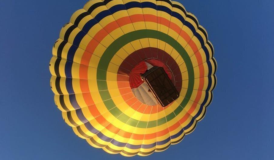 Globotur