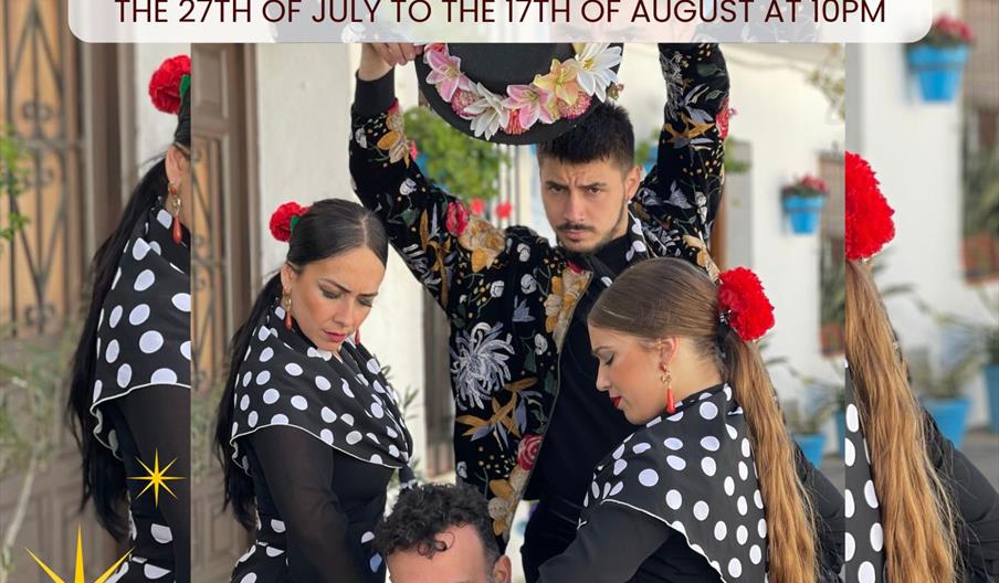Espectáculo flamenco nocturno en Mijas