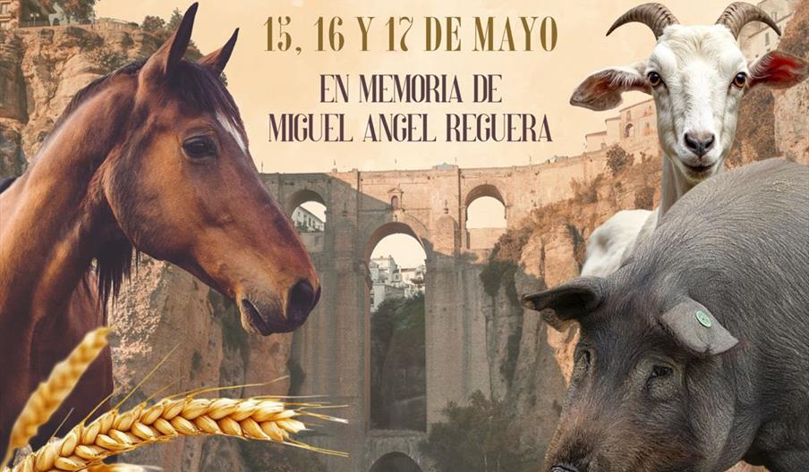 Real Feria de Mayo   AgroRonda 2026