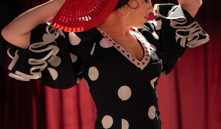 Ana Pastrana, Alegría Flamenco & Gastronomía