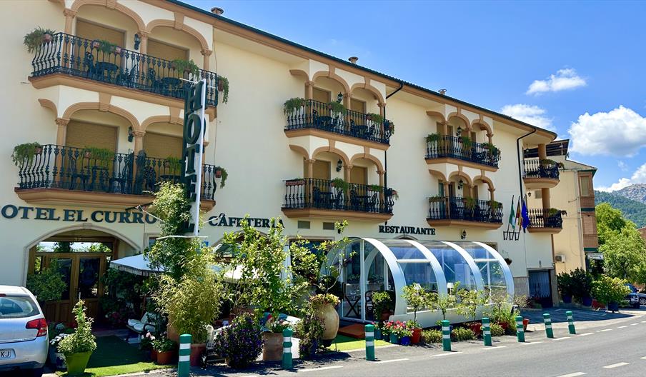 Restaurante el Curro