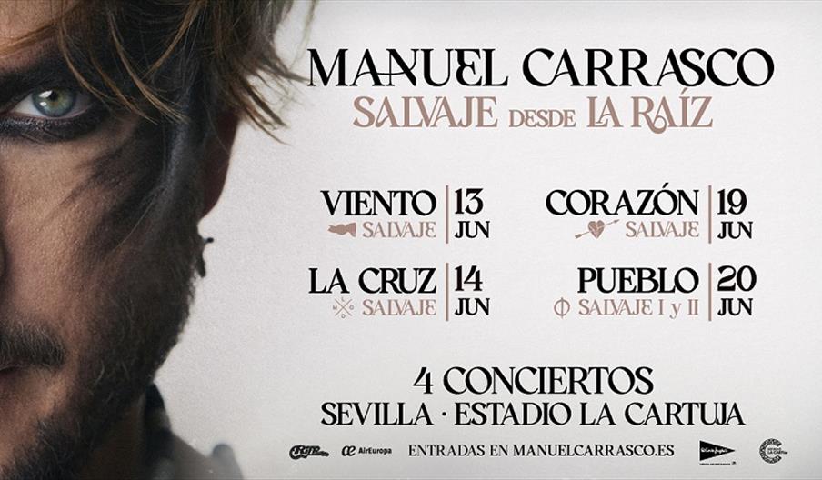Concierto de Manuel Carrasco
