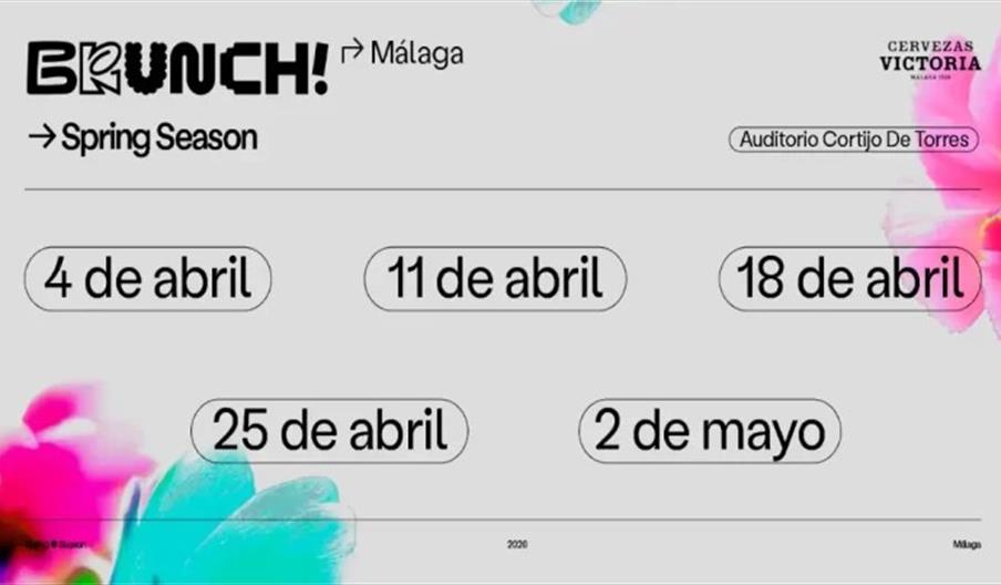 Bruch Electronik 2026