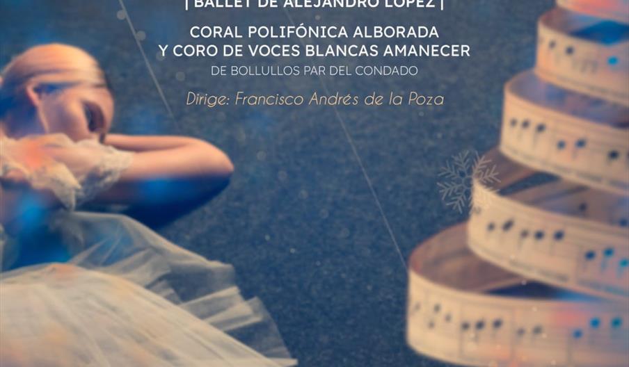 Concierto de Navidad de la Banda Sinfónica Municipal de Huelva