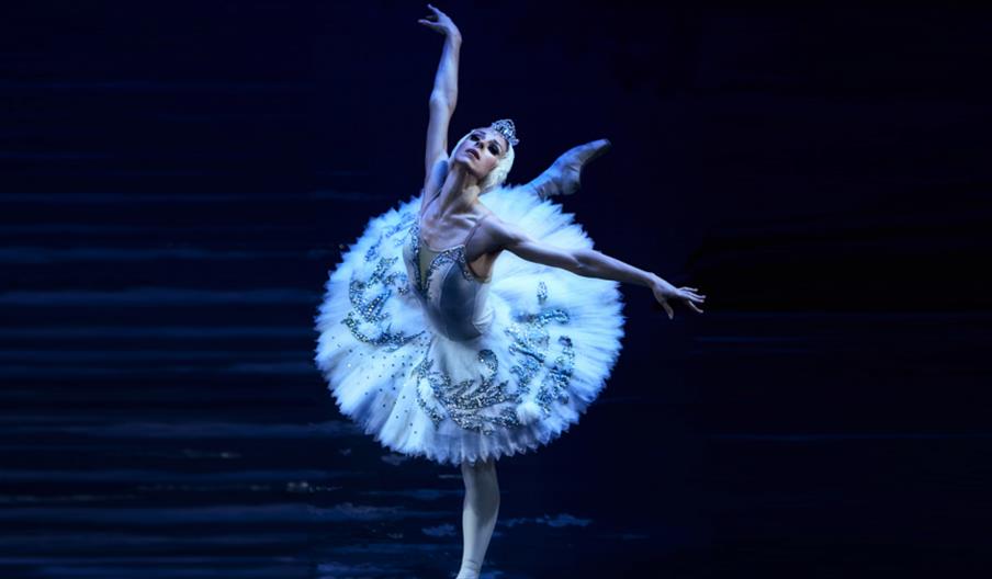 El Lago de los Cisnes Málaga