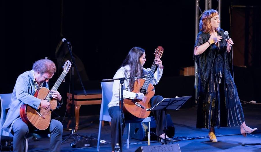 Concierto de Mauricio Di Fulvio Trío FIMAE