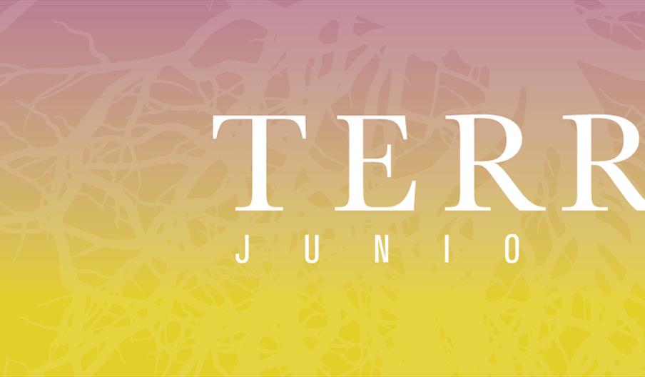 Festival de Verano Terral