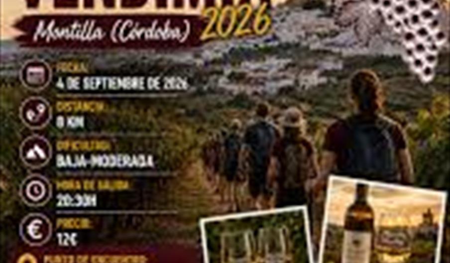 Grape Harvest Festival in Montilla
