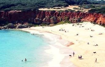 Apartamentos El Palmeral