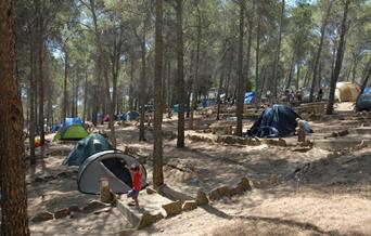 Camping Parque Ardales