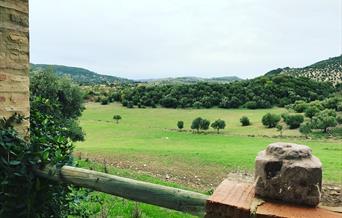 Casa Rural El Vihuelo