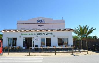El Pájaro Verde