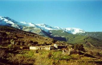 Vivienda Rural Cortijo La Abruvilla