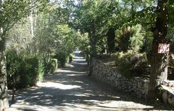 Camping Ruta del Purche