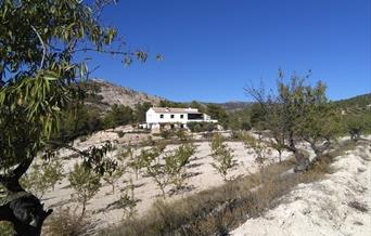 Casa Rural Cortijo El Coto