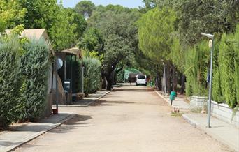 Camping Puente Nuevo