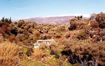 Cortijo El Cura