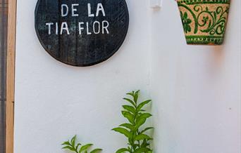 Cueva de la Tía Flor