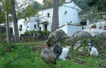 Vivienda Rural La Bodeguilla