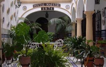 Maestre
